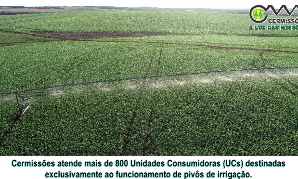 Captura-de-tela-2026-01-21-144550